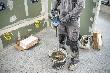 Bosch PRO Rührwerk GRW 18V-120 Produktbild img6 S