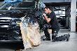 Bosch PRO Polierer GPX 12V-77 Produktbild img6 S