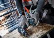Bosch PRO Armband, 2,25 kg, runde Kordelschlaufe Produktbild img5 S