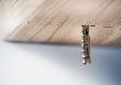 Bosch EXPERT Hardwood 2-side clean T308BP Stichsägeblatt, 5-tlg. Produktbild img9 S