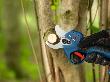 Bosch PRO Akku-Gartenschere GGP18V-32 Pruner 18V Produktbild img3 S