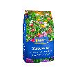 Kiepenkerl Blumen-Wiese Produktbild img1 S